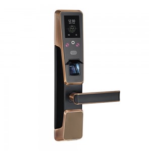 Biometrinis pirštų atspaudų ir veido išmanusis durų užraktas su RFID kortelių skaitytuvu (ZM100)
